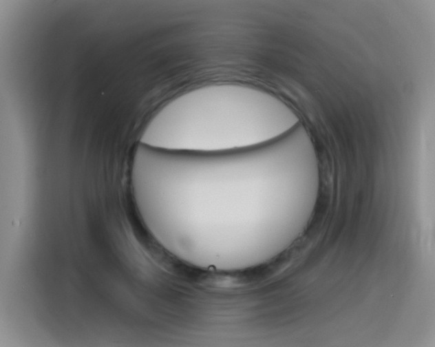 X0000116150507200911230954