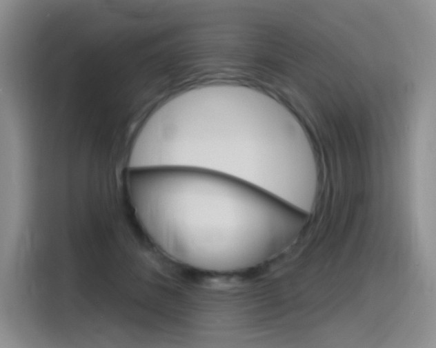 X0000116150508200911230954