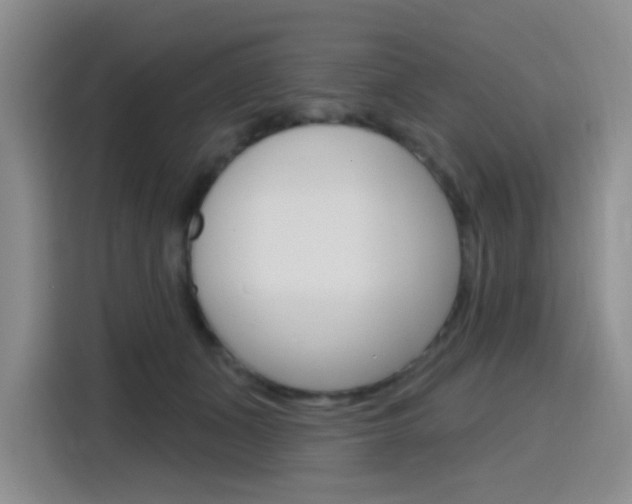 X0000116150511200911230954