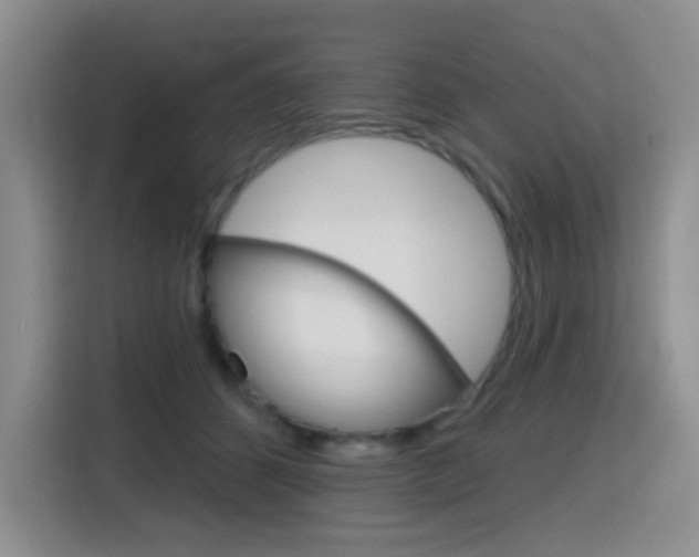 X0000116150512200911230954
