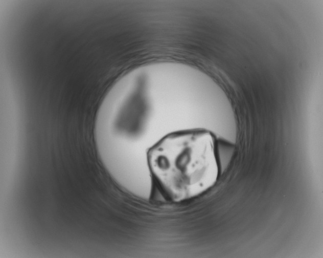 X0000116150513200911230954