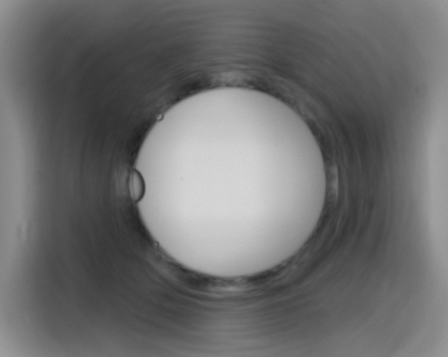 X0000116150514200911230954