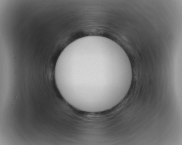 X0000116150515200911230954