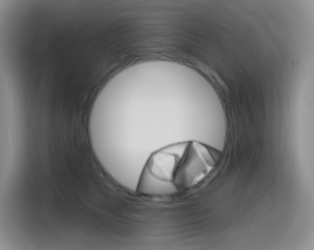 X0000116150517200911230954