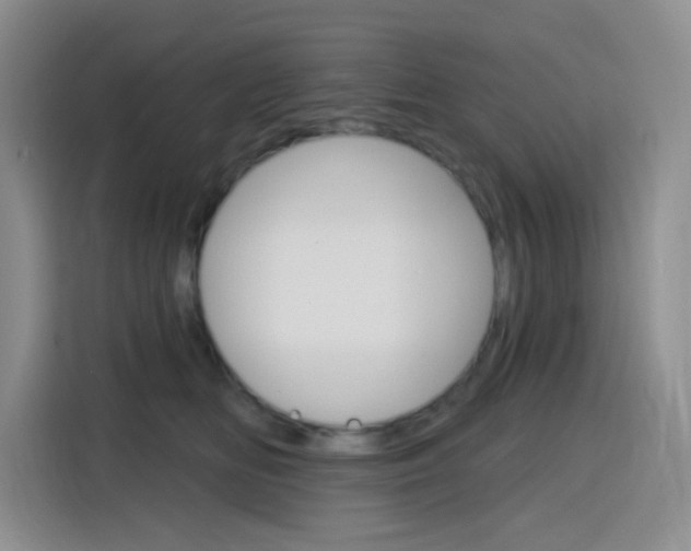 X0000116150518200911230954