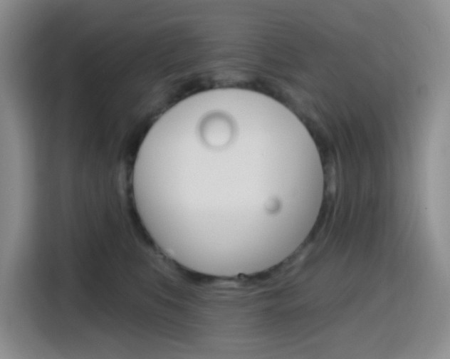 X0000116150519200911230954