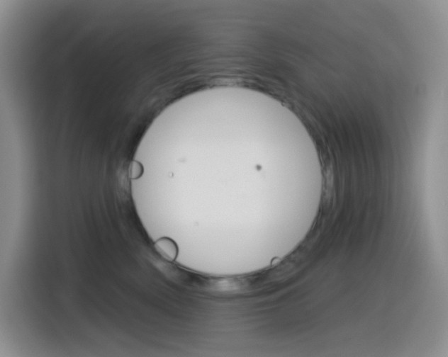 X0000116150522200911230954