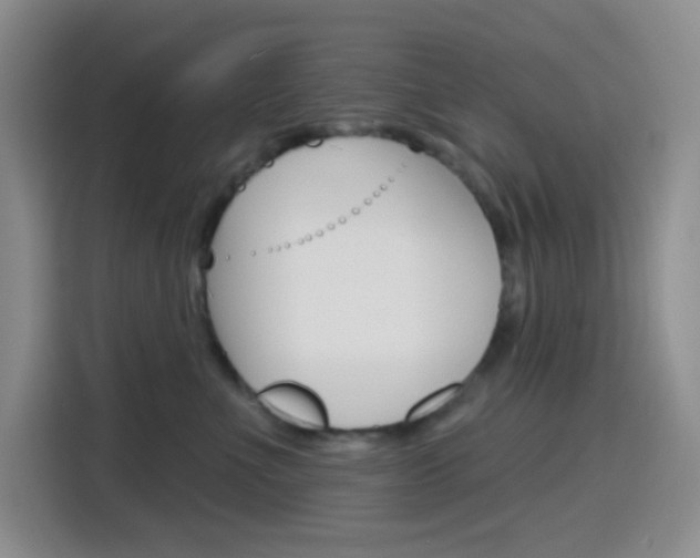X0000116150523200911230954