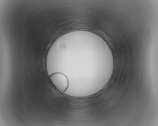 X0000116150524200911230954