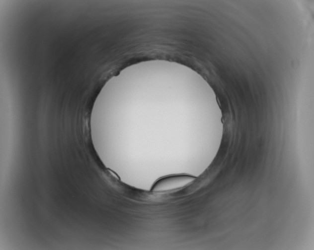 X0000116150527200911230954