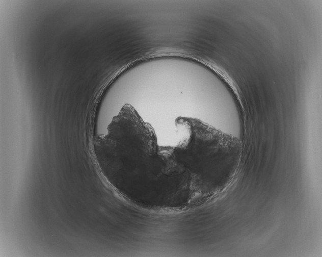 X0000116150529200911230953
