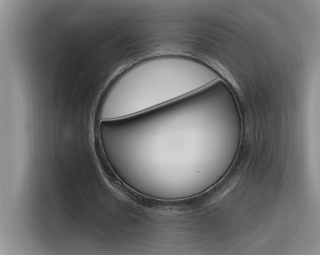 X0000116150530200911230953