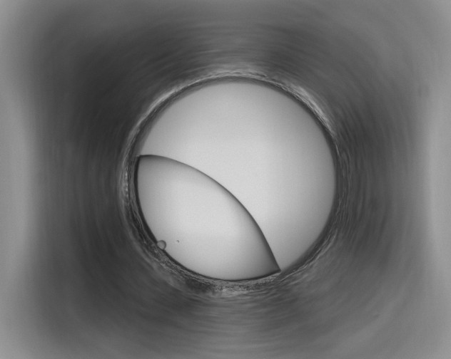 X0000116150531200911230953