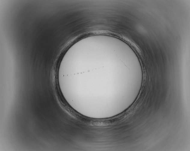 X0000116150533200911230953