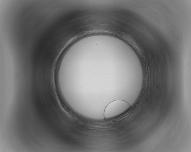 X0000116150534200911230953