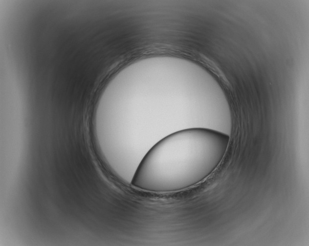 X0000116150538200911230953