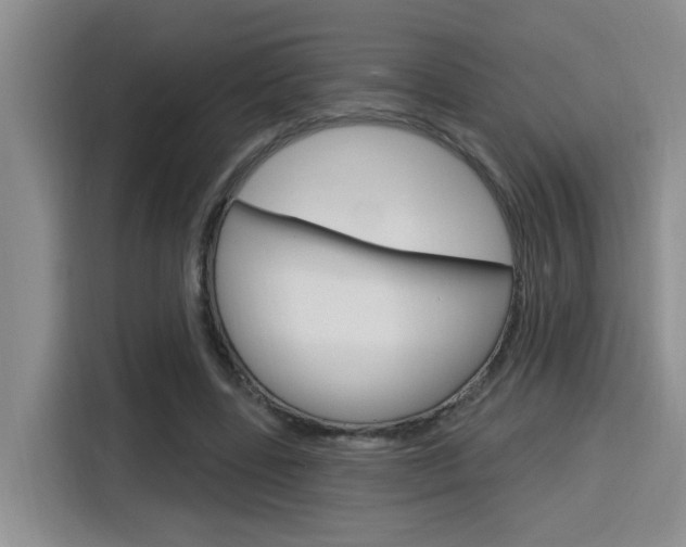 X0000116150539200911230953