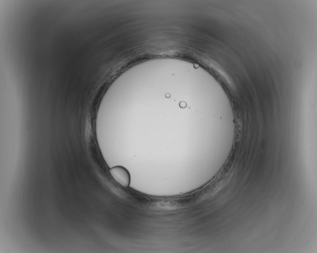 X0000116150541200911230953