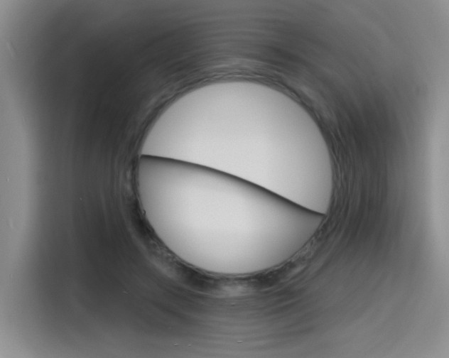 X0000116150547200911230954
