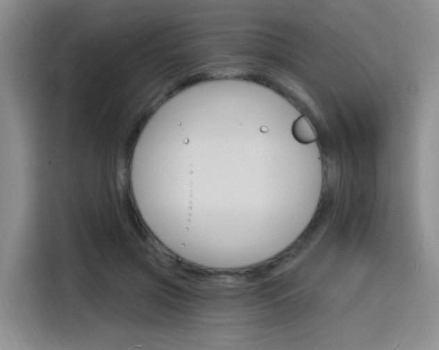 X0000116150549200911230954