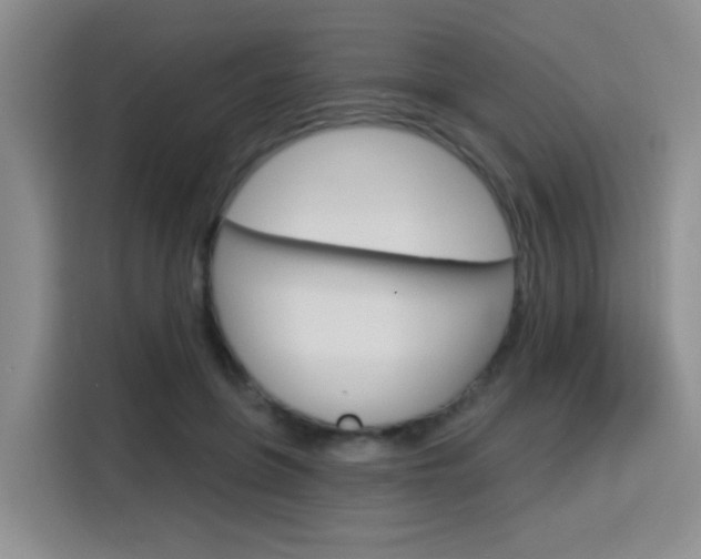 X0000116150551200911230954