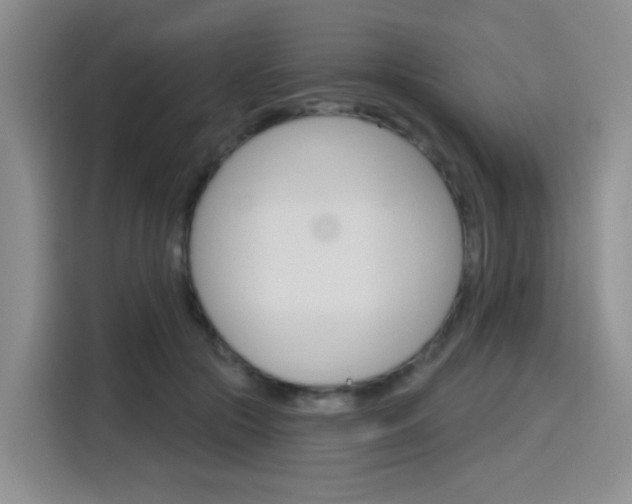 X0000116150553200911230954