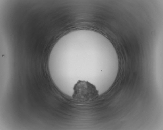 X0000116150562200911230954