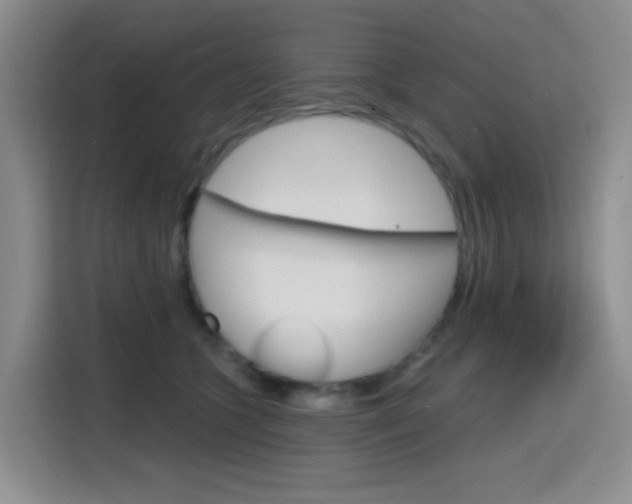 X0000116150563200911230954