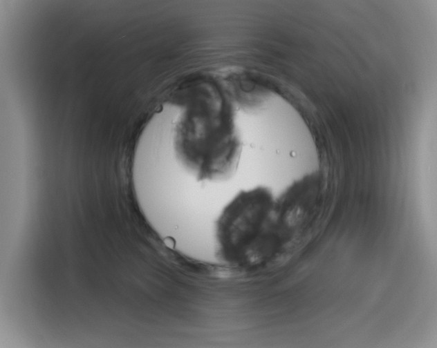 X0000116150565200911230954
