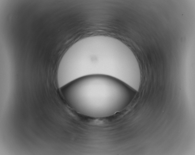 X0000116150566200911230954