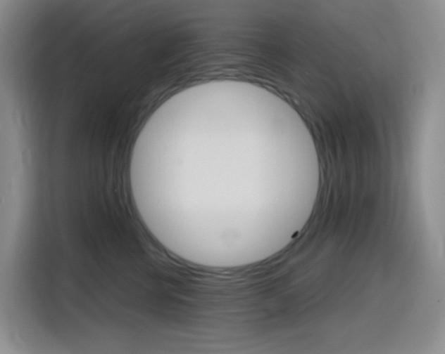 X0000116150570200911230954