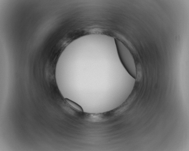 X0000116150573200911230954