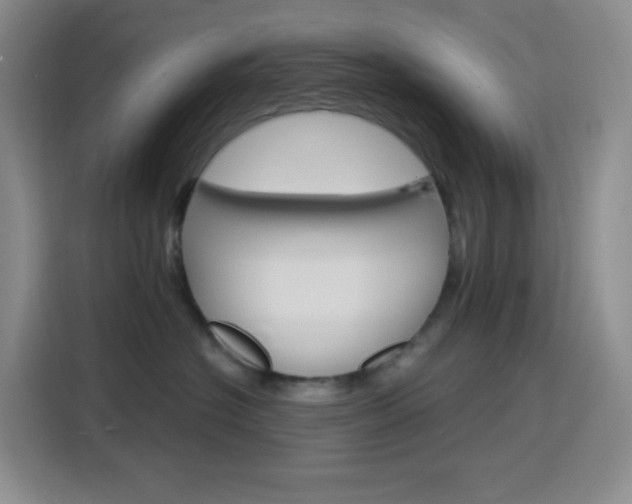 X0000116150574200911230954