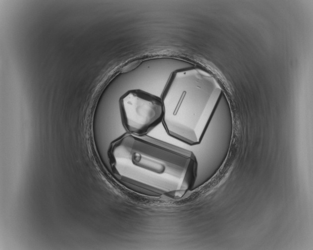 X0000116150577200911230953