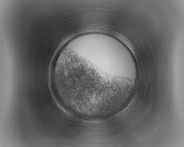 X0000116150578200911230953