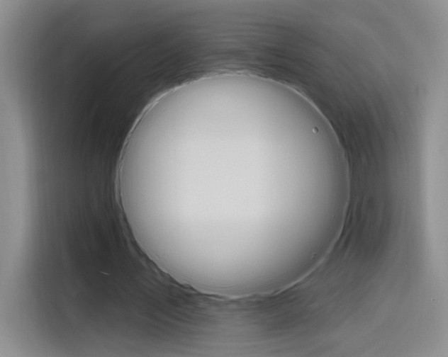X0000116150579200911230953