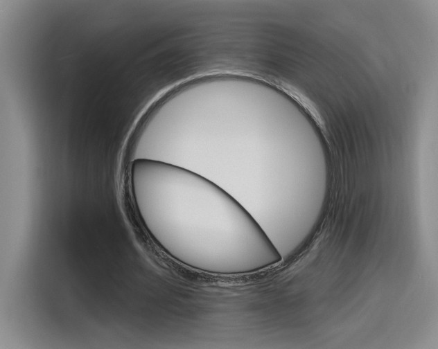 X0000116150580200911230953