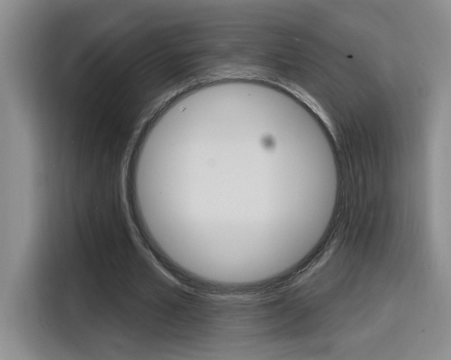 X0000116150581200911230953