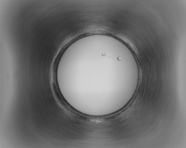 X0000116150582200911230953