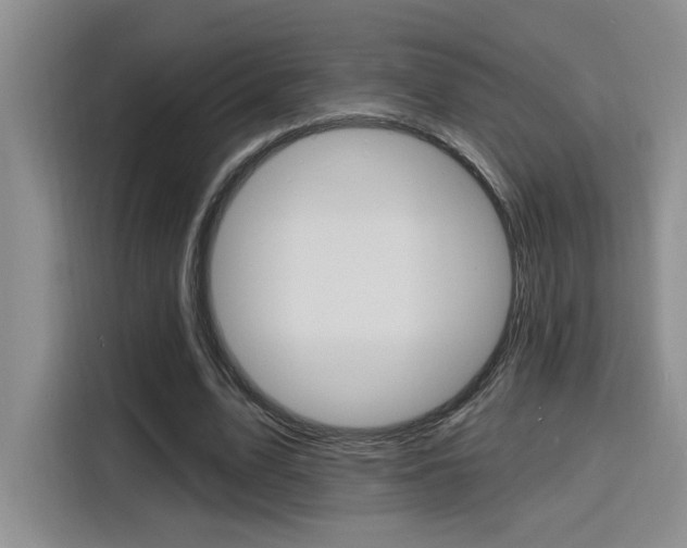 X0000116150583200911230953