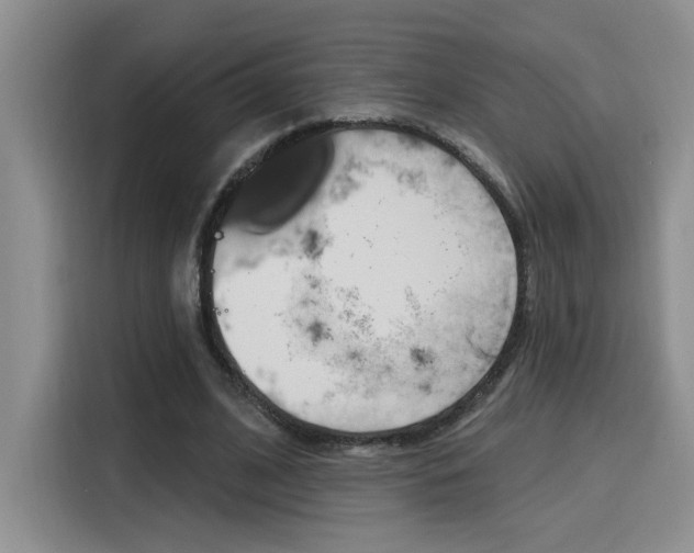 X0000116150584200911230953