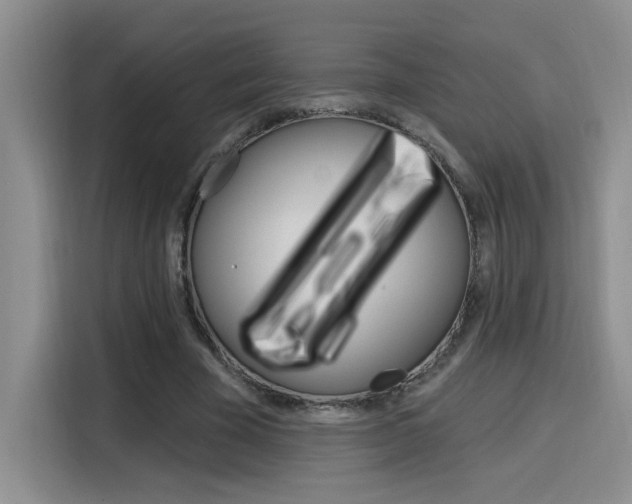X0000116150585200911230953