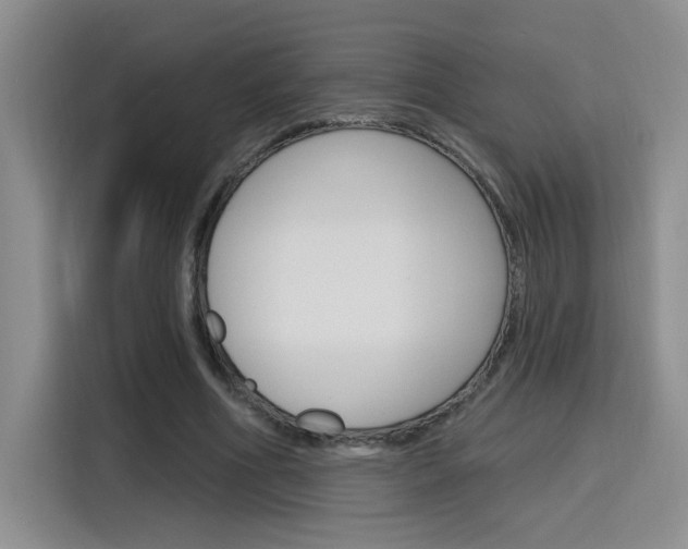 X0000116150586200911230953