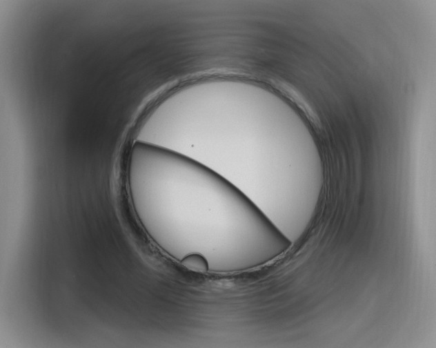X0000116150588200911230953