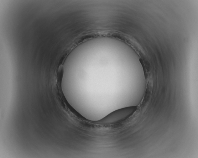 X0000116150593200911230953