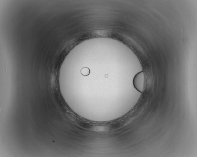 X0000116150595200911230953