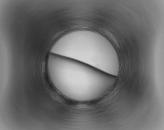 X0000116150596200911230953