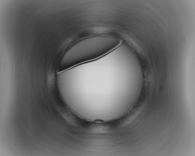 X0000116150597200911230953