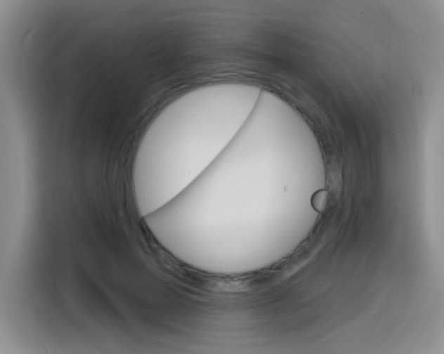 X0000116150599200911230953