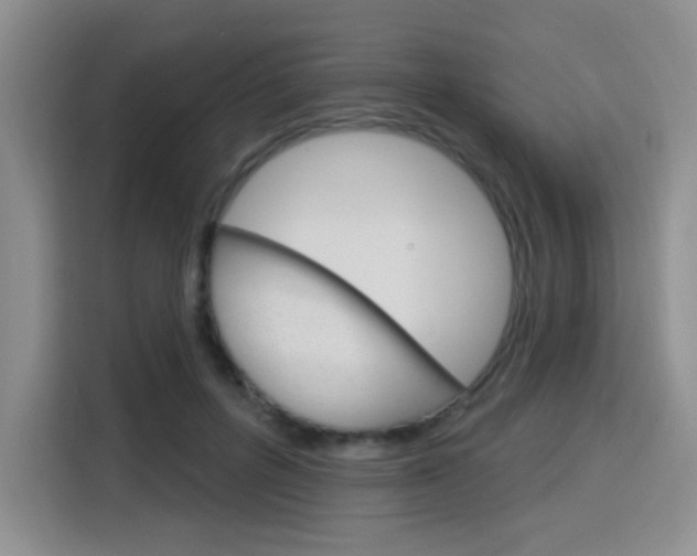 X0000116150600200911230953
